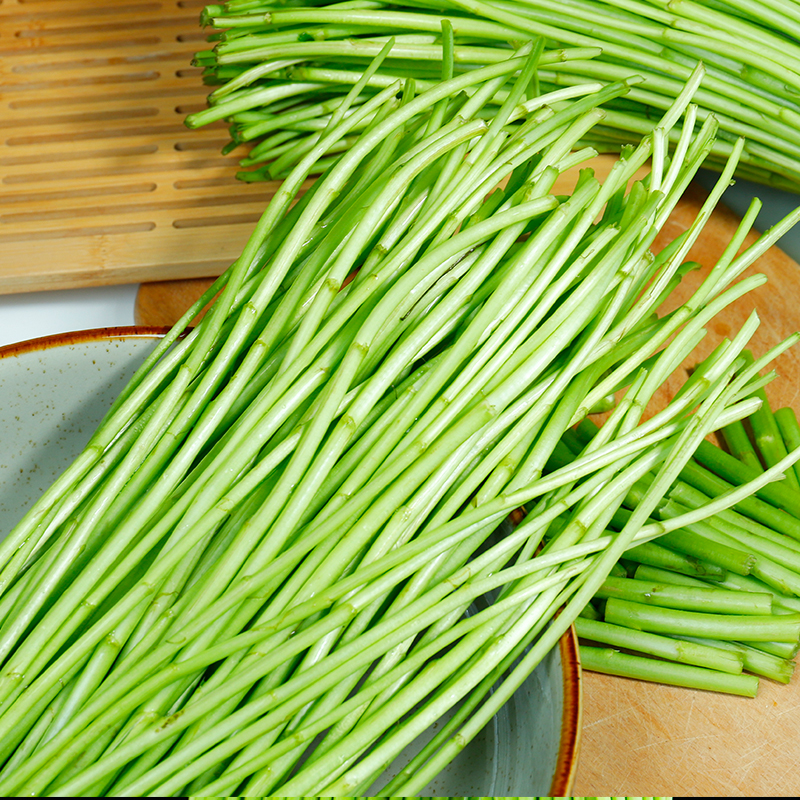 云南黎蒿新鲜芦蒿：当季时令高山白嫩野菜，农家风味十足！