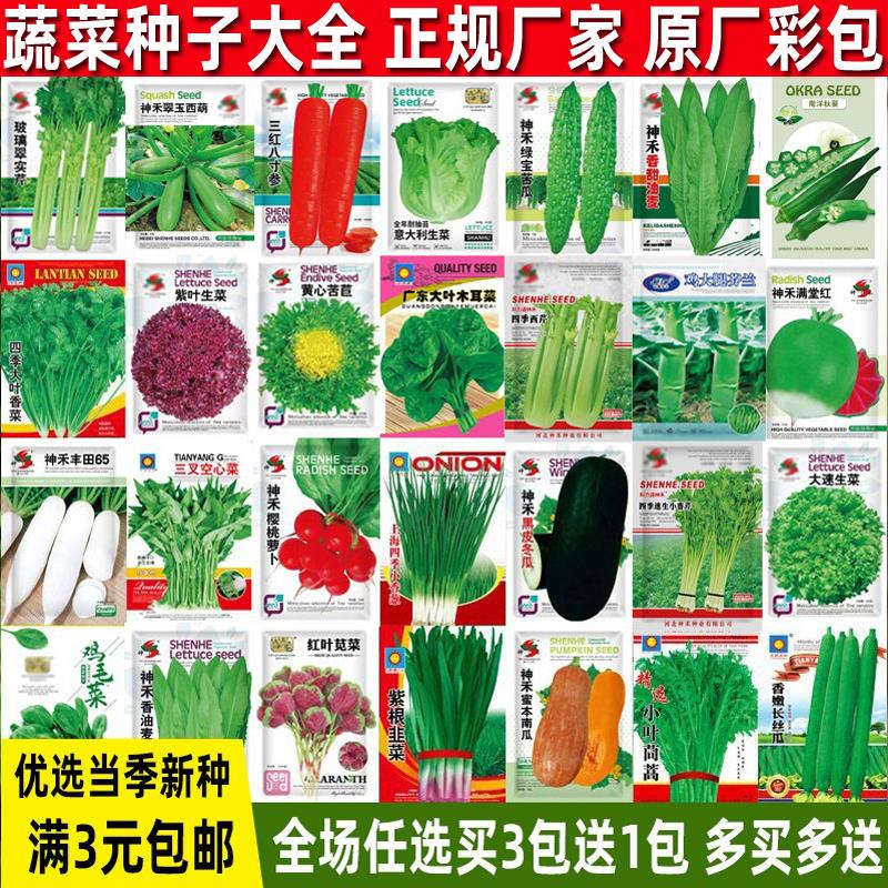 牛吃草老宁波荠菜面结240克(8只)：唤醒味蕾的记忆，品味家乡的味道