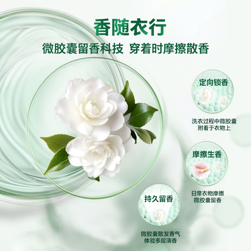 东方甄选主播成员揭秘：谁是你心中的“带货王”？