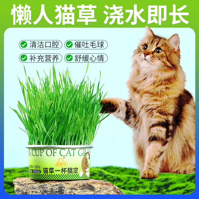无敌了！阿里旺旺号码怎么查？拒绝摆烂，教你轻松搞定！