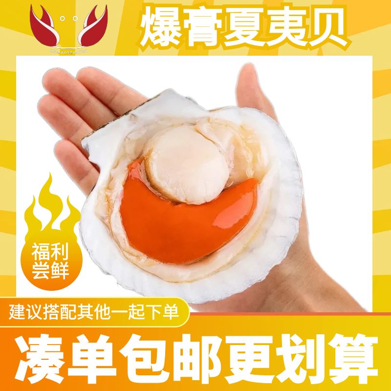 半壳贝夏夷贝：鲜活冷冻海鲜新宠，带你解锁超大水产的美味密码！