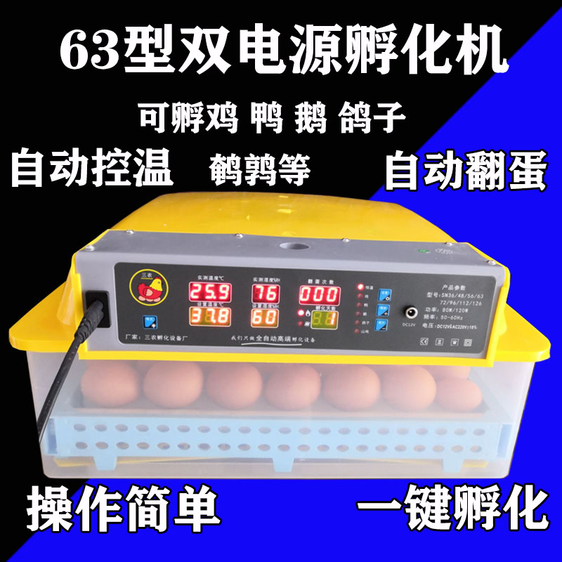 孵小鸡神器来了！全自动孵化器让养蛋超简单，新手也能轻松上手！