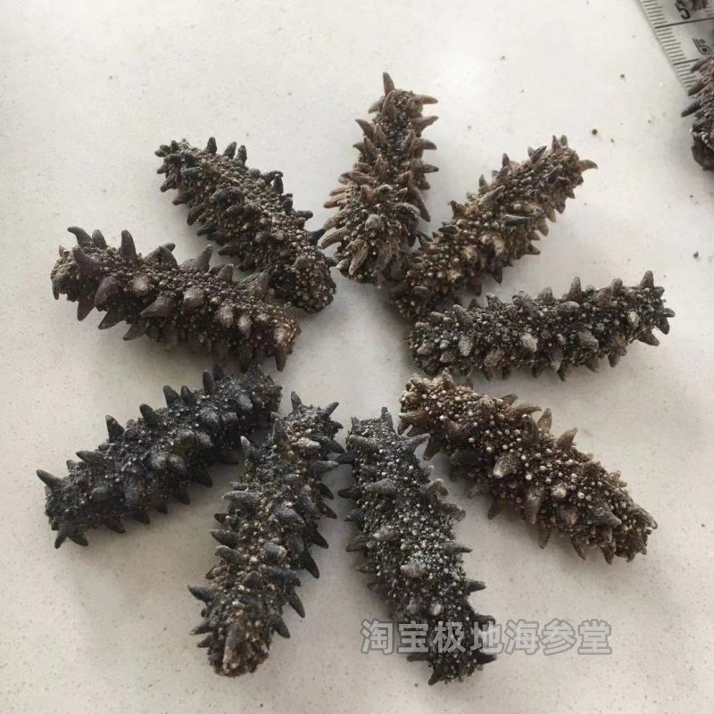 俄罗斯大红海参100头萨哈林淡干海参500g原货：海洋珍馐，养生新宠？