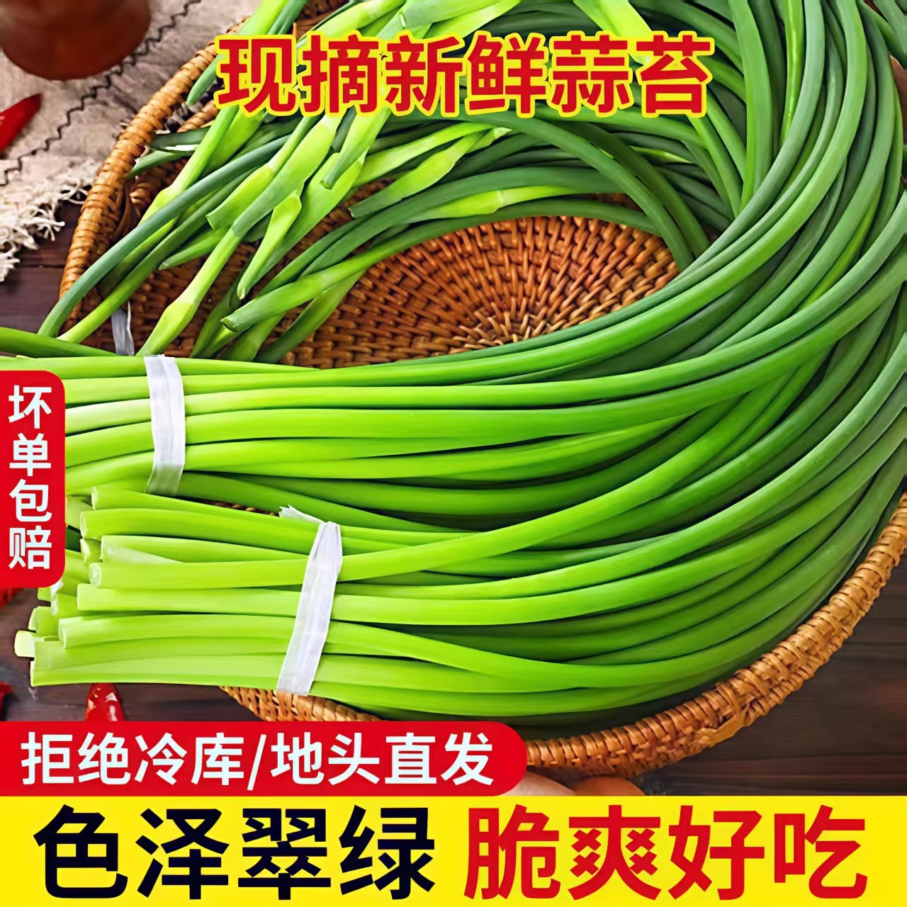蒜苔蒜毫蒜苗新鲜直达！农家自种9斤装，尝鲜必备！