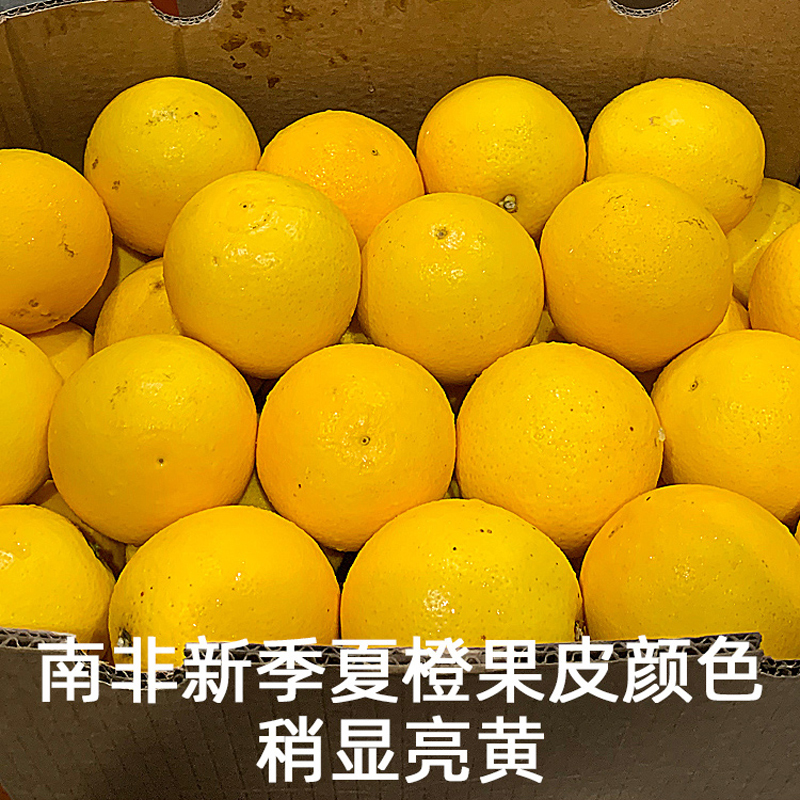 南非进口橙子30斤整箱，埃及当季新鲜水果，奶茶店榨汁必备橙包邮！