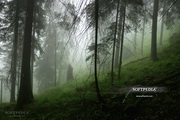 Animated Rain Wallpaper1.5.1