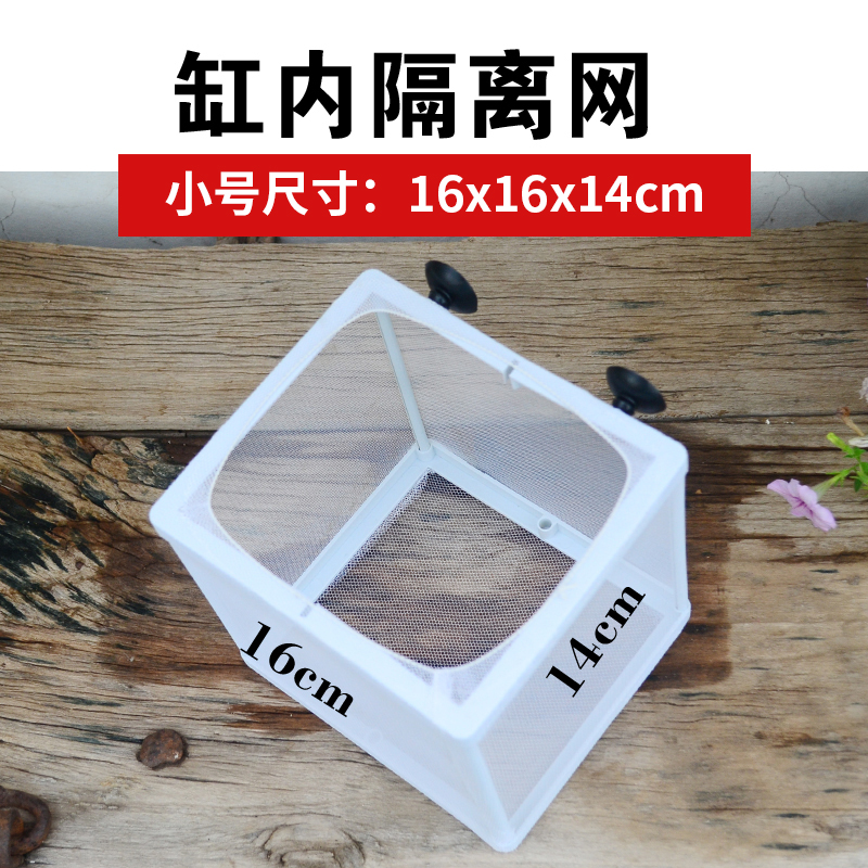 鱼缸内养小鱼苗隔离网：孔雀鱼繁殖的秘密武器！✨