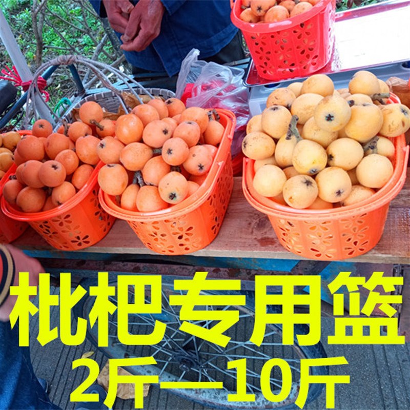 枇杷采摘必备神器：橘黄色塑料手提篮子，水果采摘的新潮流！