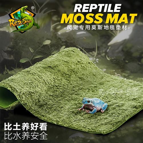 爬虫箱莫斯地毯太香了！养龟蛇的宝子们快冲！这垫材真的绝了