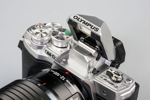 Olympus M10 Mark II: A Comprehensive Guide