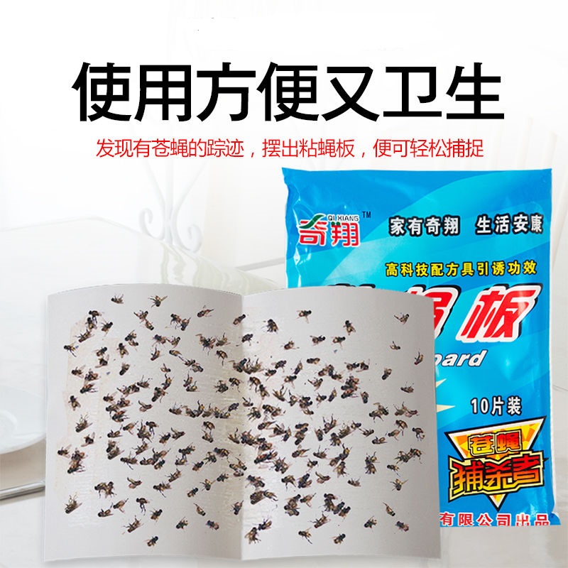 苍蝇贴真的能一扫光？灭蝇神器实测！家家必备的防蝇黑科技