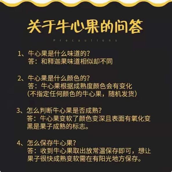 西双版纳牛心果：热带水果界的神秘宝藏，当季新鲜牛心梨&amp;牛心番荔枝大揭秘！