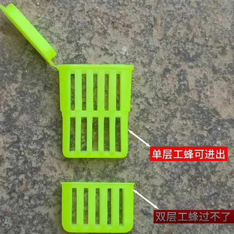 养蜂神器大揭秘！介群灵王牌群蜂王蜂种场工具，开启甜蜜事业新篇章