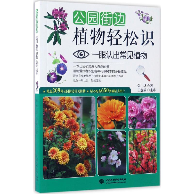 公园街边植物轻松识：一眼认出常见植物，园林绿化的秘密武器！