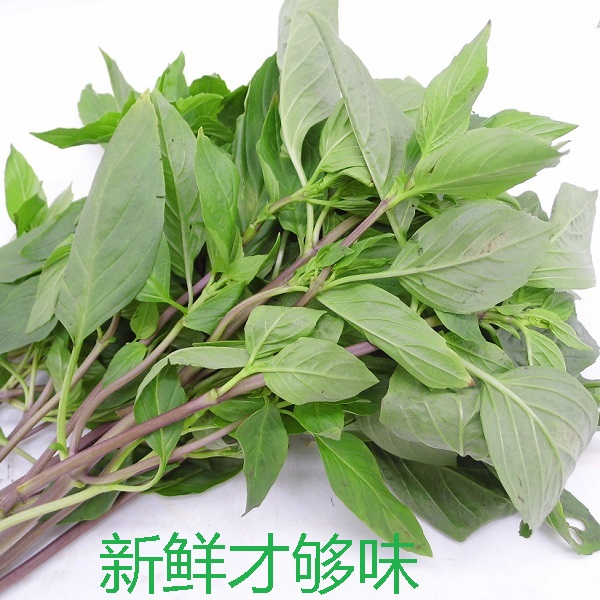 新鲜九层塔&amp;金不换：解锁冬阴功灵魂香料的秘密！