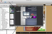 Flip PDF Professional2.3.18