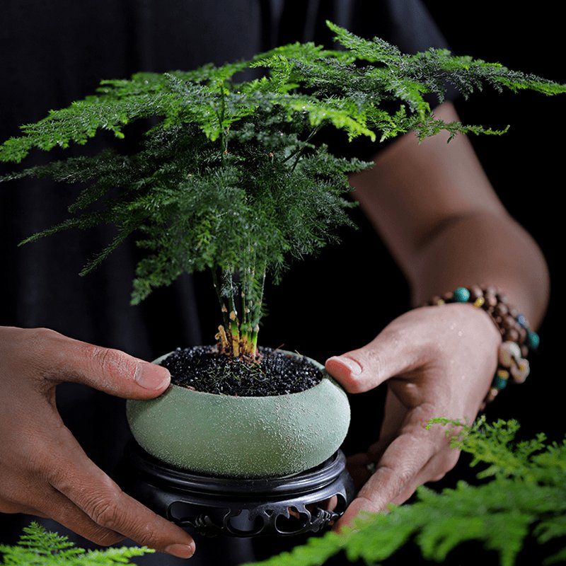金属仿真压花冲花半成品&amp;A734龟背竹盆景，打造梦幻花园的秘密武器！