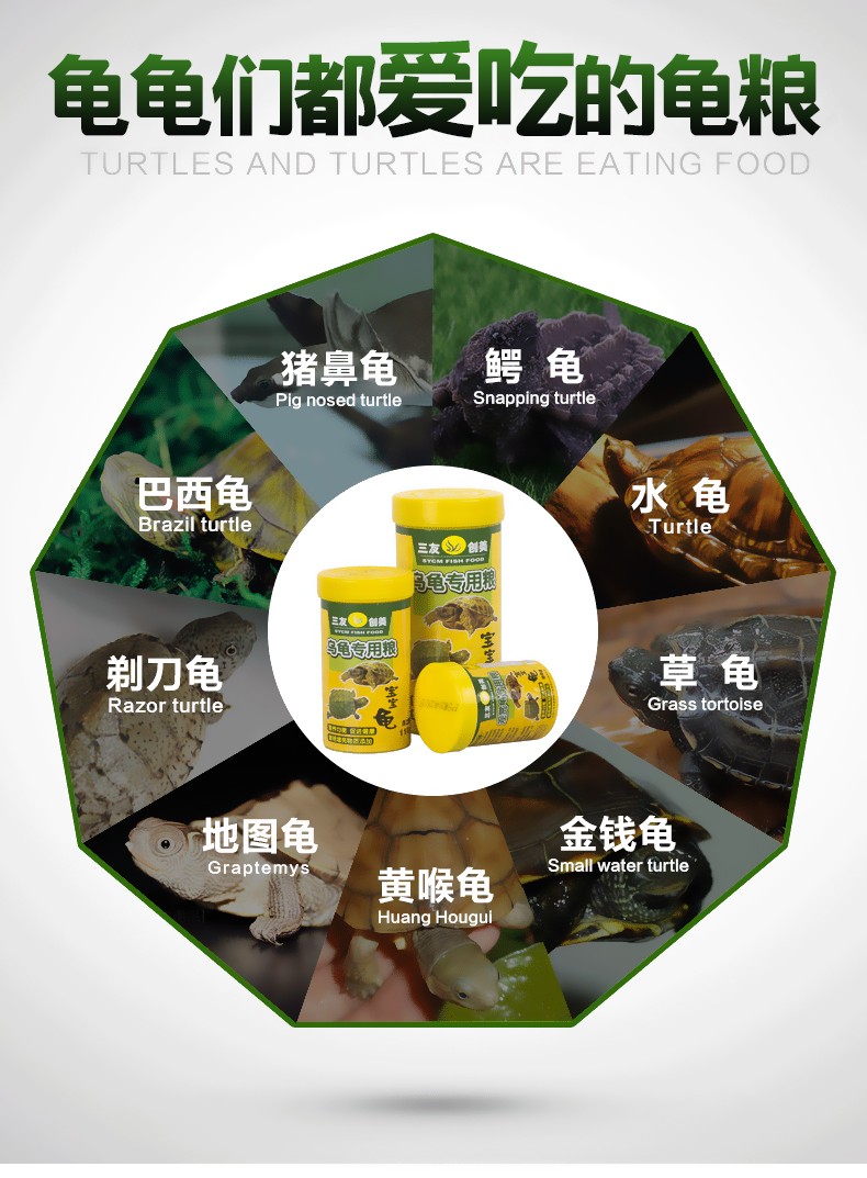 龟粮大揭秘：中华草龟、巴西龟、鳄龟全搞定！