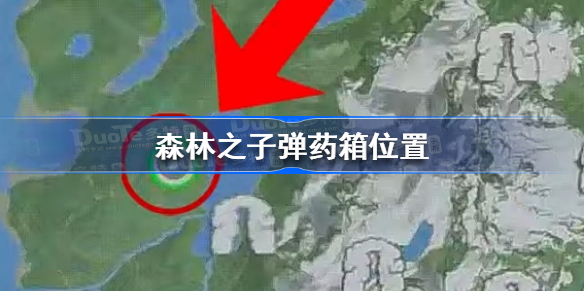 森林之子弹药箱在哪 森林之子弹药箱位置