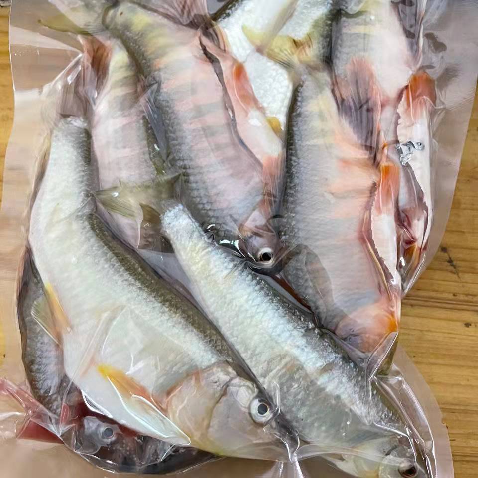 鲜活马口鱼：山间溪流的美味馈赠，一口鲜甜唤醒味蕾！✨