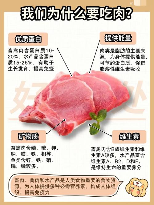 畜禽肉类食物的配伍禁忌有哪些？,食物配伍禁忌