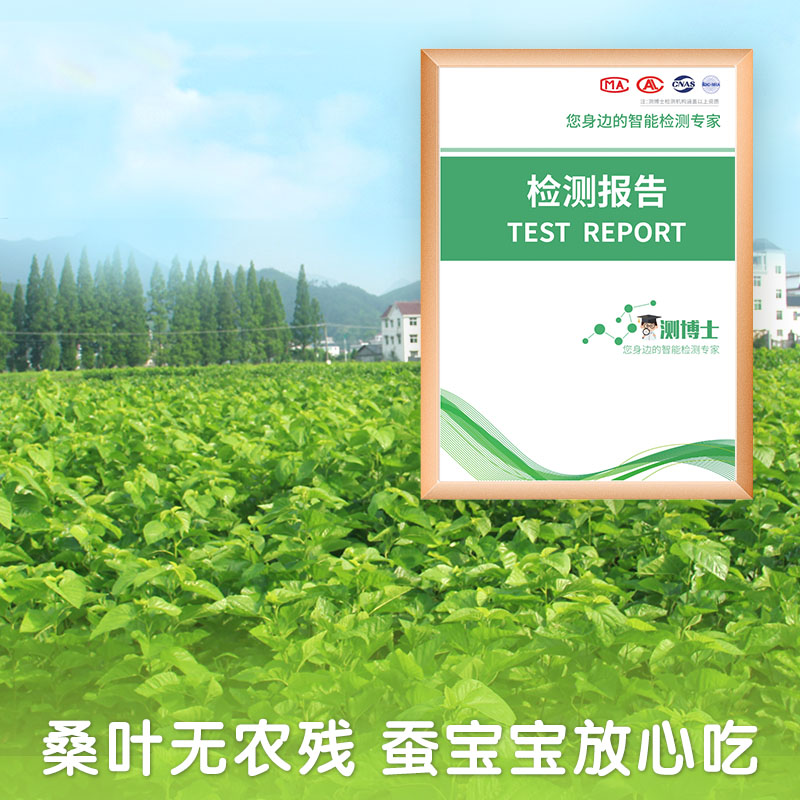 农家新鲜桑树叶：养蚕宝宝的超级食谱，新手必看攻略！