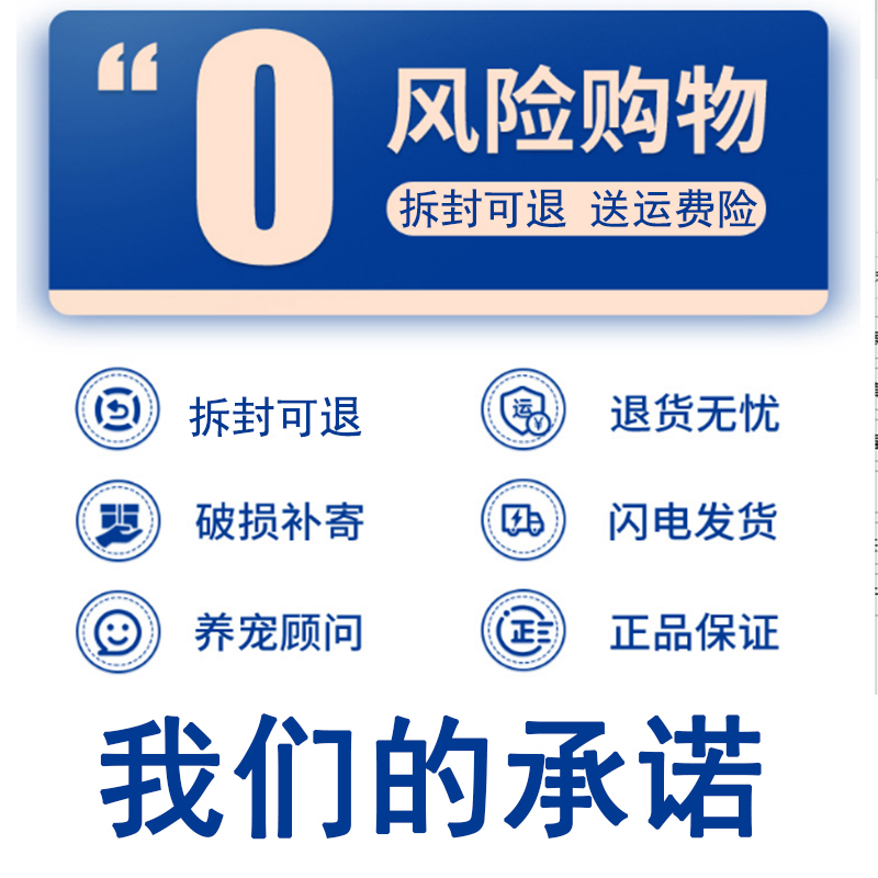 美洲狮大揭秘：这些神秘的大型猫科动物到底有多强？