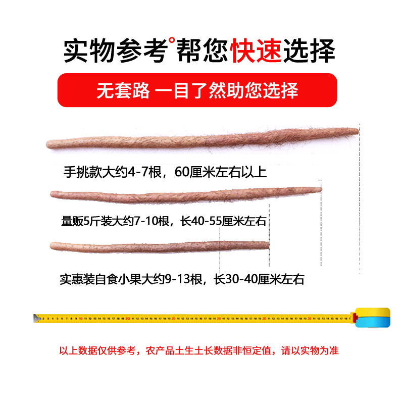 河洛北岸沙土铁棍山药5斤装：新鲜蔬菜界的滋补圣品，你值得拥有！