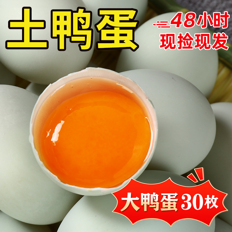 小鸭子大揭秘：从麻鸭到土鸭蛋，你知道多少鸭子的秘密？