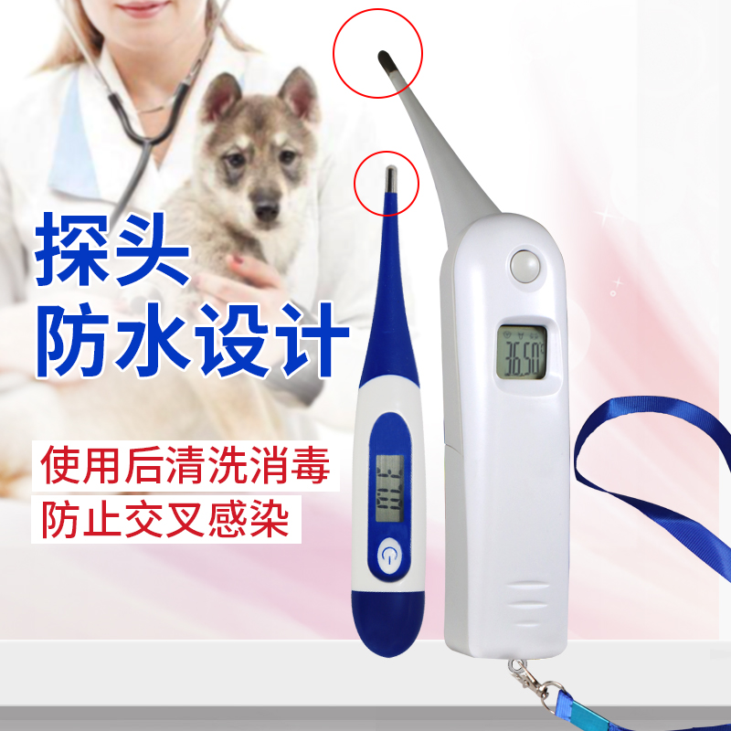 宠物体温一测就懂！这台电子体温计让毛孩子看病不再难