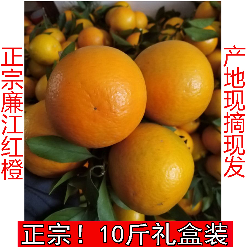 正宗廉江红江橙：当季新鲜，甜橙盛宴，皮薄汁多，现摘水果，尝鲜不等人！