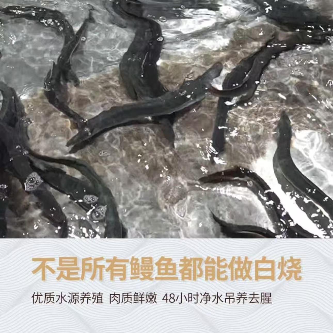 日式白烧鳗鱼整条：加热即食，无糖鳗鱼日料，如何在家轻松享受美食盛宴？