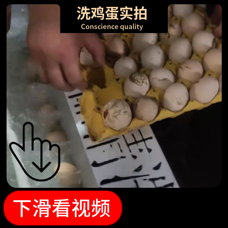 全自动商用小型洗蛋机：告别脏蛋，迎接清新！✨