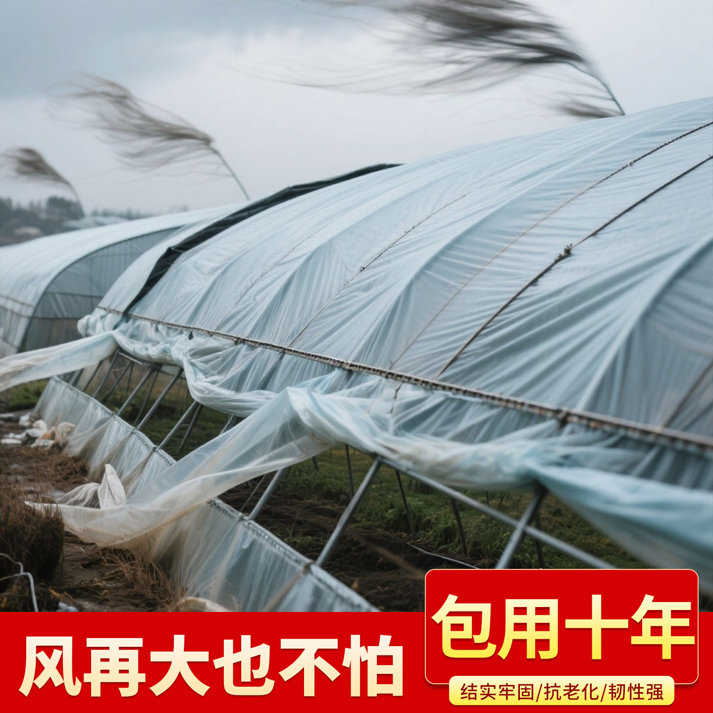 佳盈压膜绳：大棚种植的秘密武器，抗老化耐磨新选择！