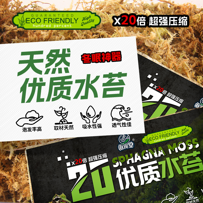 救命！毛毛虫水苔真的绝了！爬宠植物必备！乌龟冬眠垫材也太香了吧！