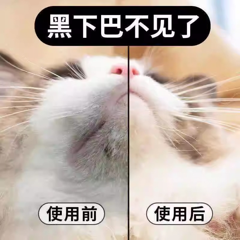 宠物湿巾大揭秘：猫咪狗狗杀菌除臭湿纸巾，清洁神器了解一下！