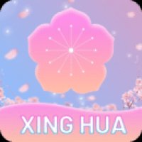 烟花直播