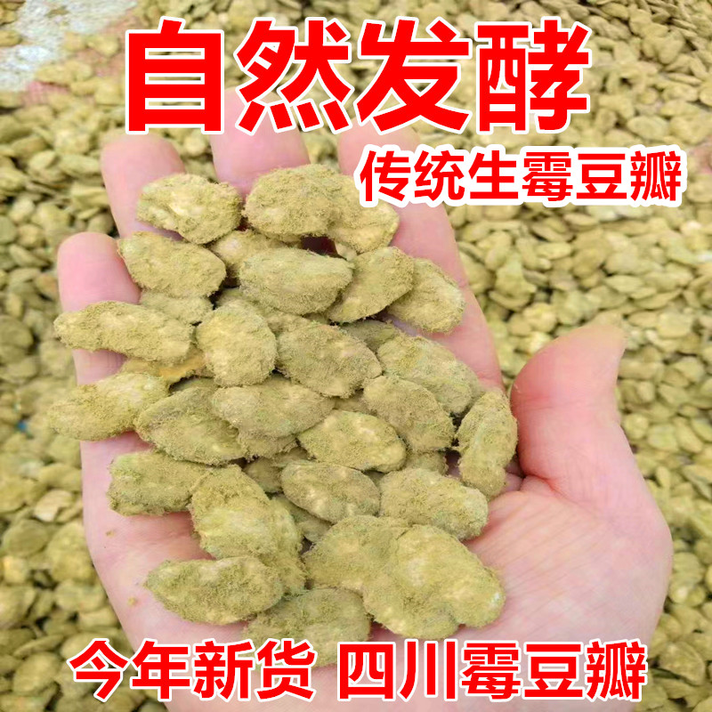 四川农家自制豆瓣：霉豆瓣新货，蚕豆瓣的自然发酵艺术！