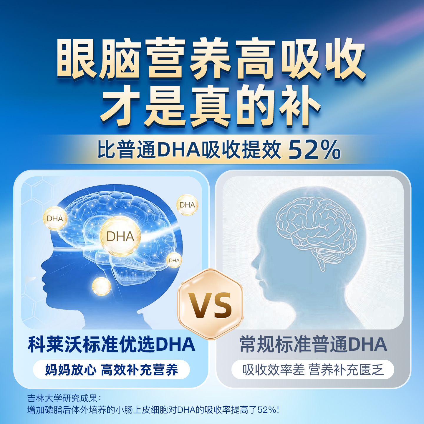 海豚队长磷脂DHA藻油：宝宝大脑发育的秘密武器