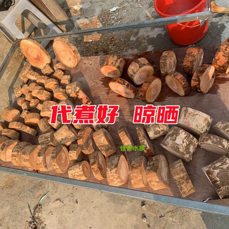 乌龟缸造景大揭秘：打造完美晒背台的秘诀！