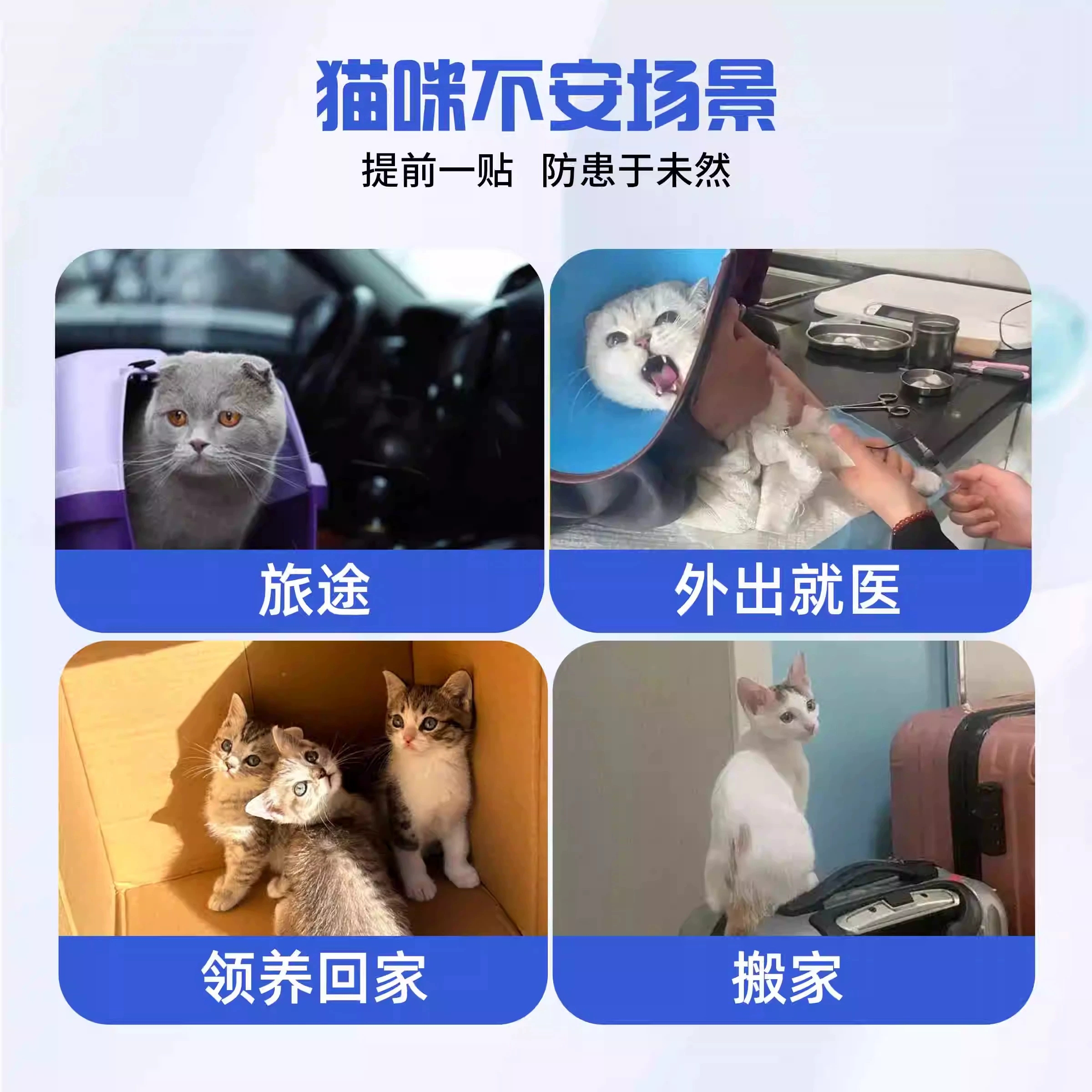 猫咪应激救星！费洛蒙猫信息素爆珠贴真的太香了！拯救焦虑小可爱