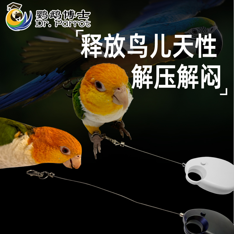 鹦鹉放飞绳不伤脚超轻训练绳，虎皮玄凤八哥脚环脚链脖套遛鸟飞行绳全攻略！