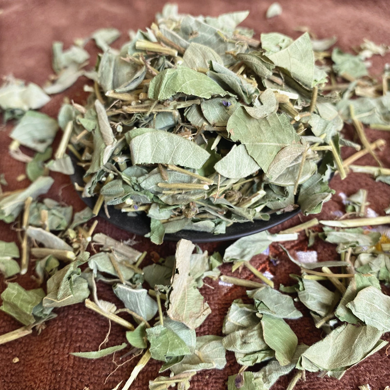 出口级高含量野生金钱草：中药材界的绿宝石，你了解多少？