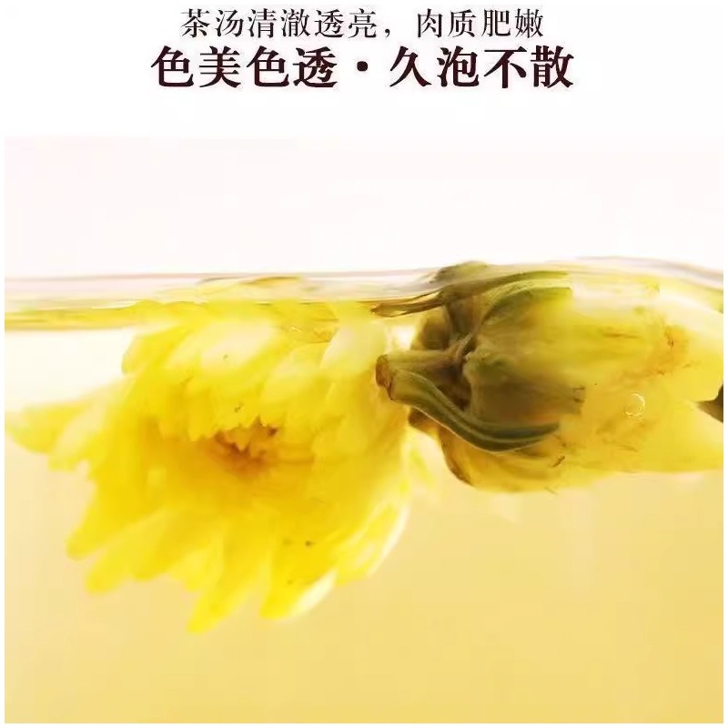 栀子花茶：500克包邮，泡茶卤肉两相宜，菊苣金银花胎菊大比拼！