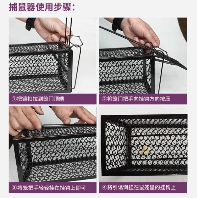 龙猫活宠大揭秘：萌翻天的活体幼崽，带笼已打疫苗，送笼子哦！