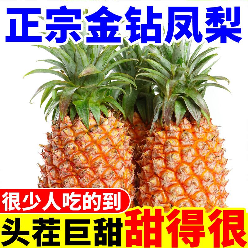 顺丰包邮海南金钻凤梨：当季香水菠萝，手撕风梨的甜蜜诱惑！
