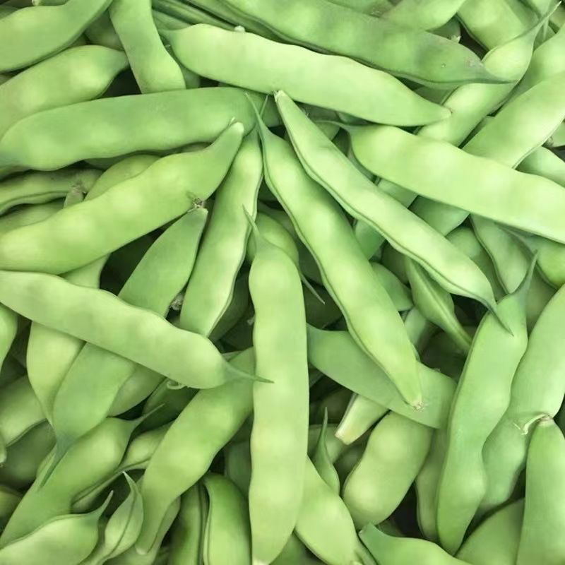 油豆角纯九月青豆角：东北梨树特产，开锅即烂，鲜嫩多汁！烀豆角新选择！