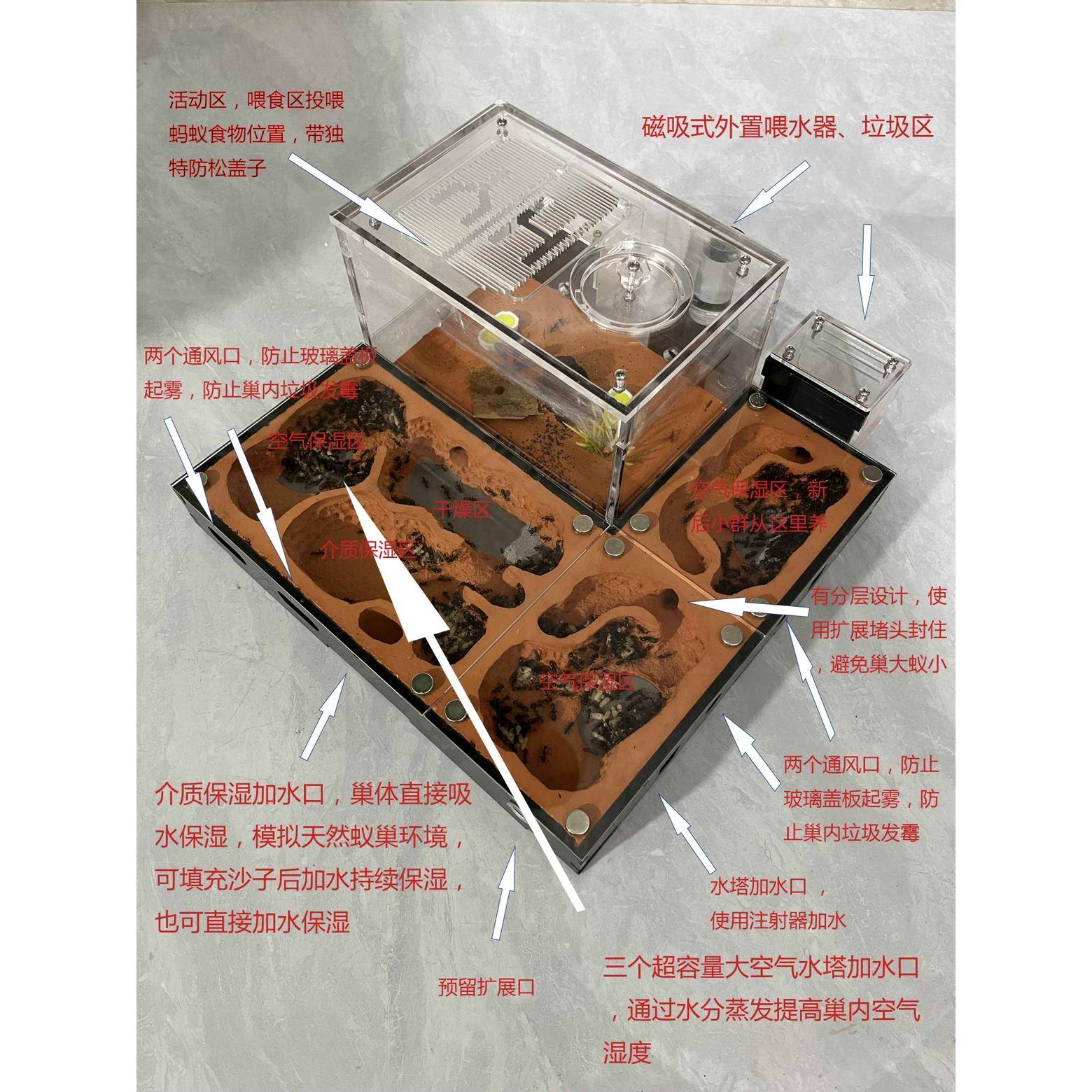 防生态蚁巢：蚂蚁城堡的秘密，宠物蚂蚁后繁殖生态工坊蚁巢学校科普全解析！