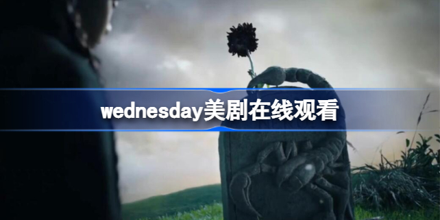 wednesday美剧在线观看 wednesday美剧在哪里看