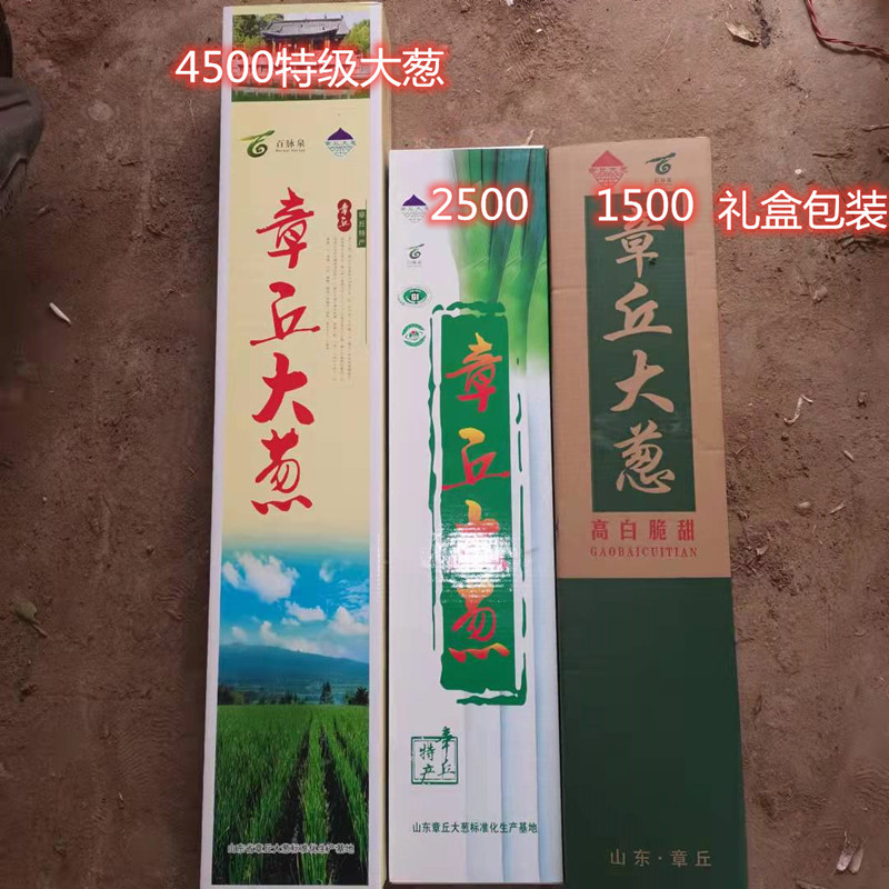 顺丰章丘大葱：5斤新鲜直达，生吃的极致享受！